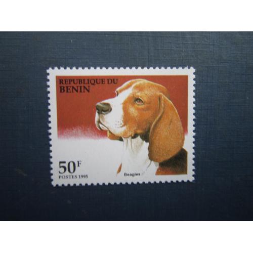 Марка Бенін 1995 фауна собака бігль MNH