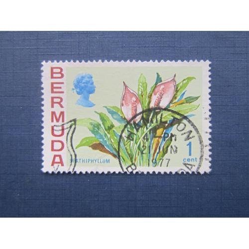 Марка Бермудские острова Бермуда Британская 1970 флора цветы 1 цент гаш