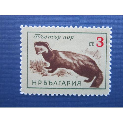 Марка Болгария 1963 фауна хорёк лесной MNH