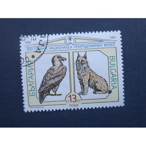 Марка Болгария 1989 фауна рысь птица орёл гаш
