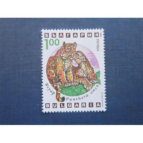 Марка Болгария 1992 фауна дикие кошки ягуар MNH