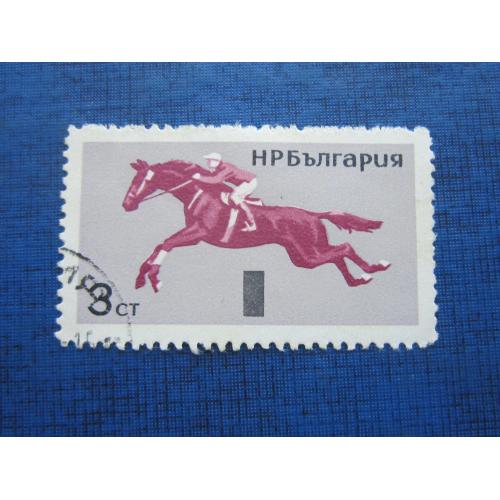Марка Болгария конный спорт фауна лошадь конь гаш