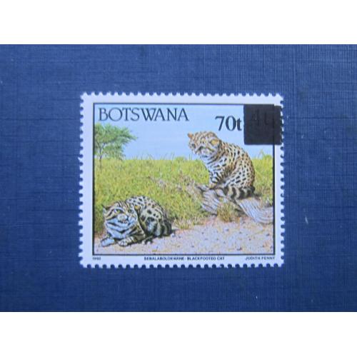 Марка Ботсвана 1996 фауна дикая черноногая кошка надпечатка нового номинала 70 на марке 1992 г MNH
