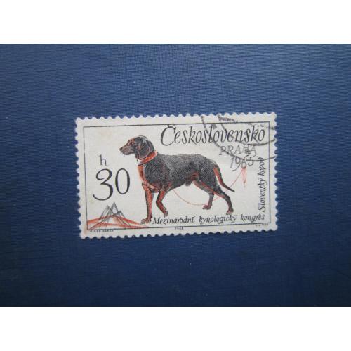 Марка Чехословаччина 1965 фауна собака словацький копов гаш як є тонке місце
