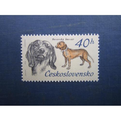 Марка Чехословаччина 1973 фауна собака баварський гірський гончак MNH