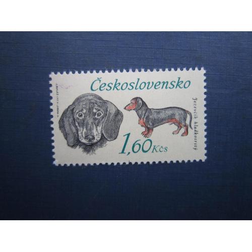 Марка Чехословаччина 1973 фауна собака такса головна марка серії MNH КЦ 3 $