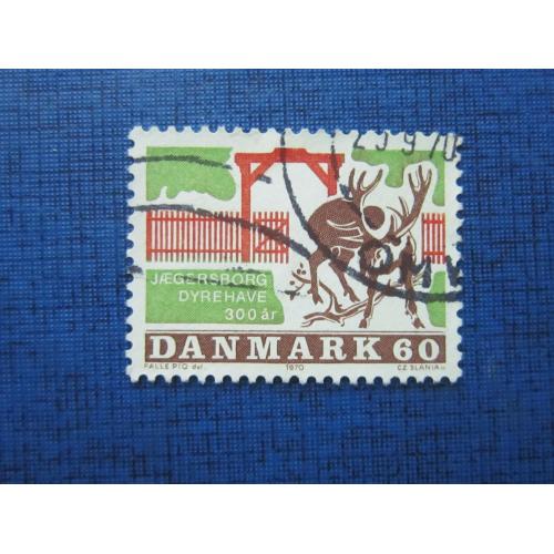 Марка Дания 1970 Парк дикой природы Ягесбург фауна олень гаш