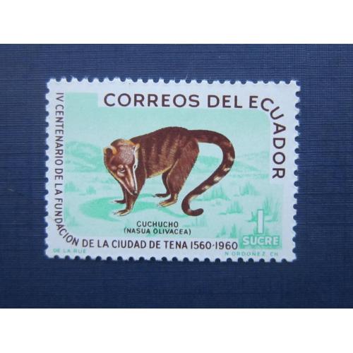 Марка Эквадор 1961 фауна носуха енотовые MNH
