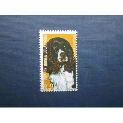 Марка Екваторіальна Гвінея 1974 фауна собака гончак іспанський гаш