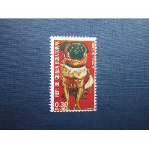 Марка Екваторіальна Гвінея 1974 фауна собака грифон гаш