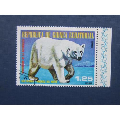 Марка Экваториальная Гвинея фауна белый медведь гаш