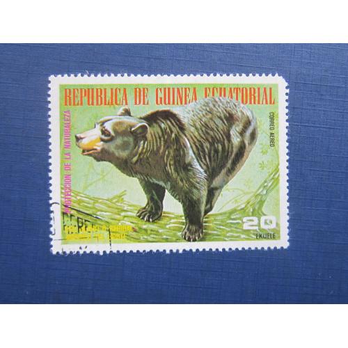 Марка Экваториальная Гвинея фауна медведь гризли гаш