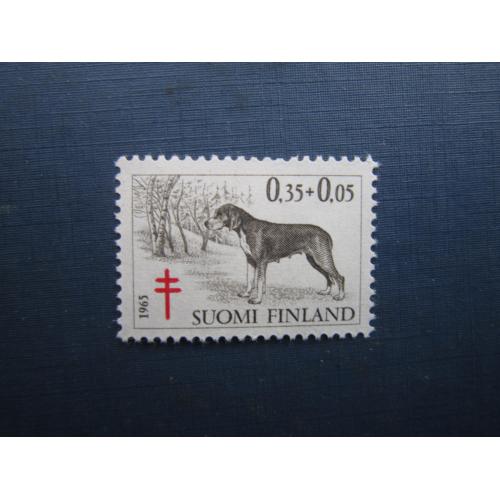 Марка Фінляндія 1965 фауна собака гончак фінський 035+0.05 мар MNH КЦ 2.5 $
