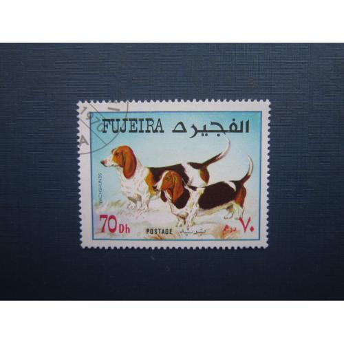 Марка Фуджейра ОАЕ 1973 фауна собака бассет-хаунд гаш