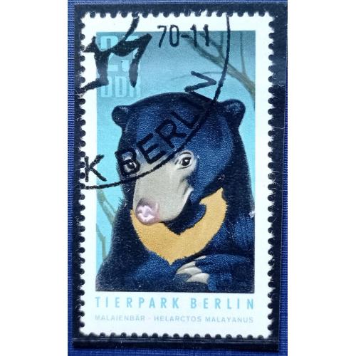 Марка ГДР 1970 фауна медведь гималайский гаш КЦ 6 $ главная марка серии