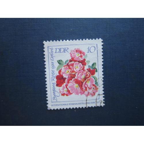 Марка Германия ГДР 1972 флора цветы 10 пф гаш