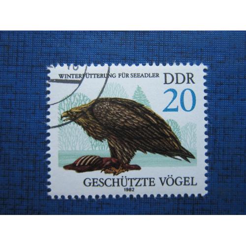 Марка Германия ГДР 1982 фауна птица орёл гаш