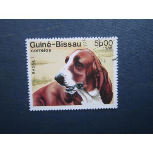 Марка Гвінея-Бісау 1988 фауна собака бассет-хаунд гаш