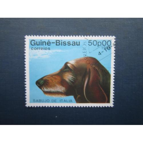 Марка Гвінея-Бісау 1988 фауна собака італійський гончак гаш