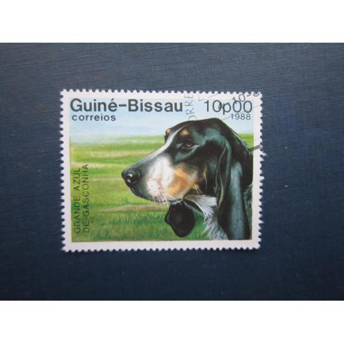 Марка Гвінея-Бісау 1988 фауна собака великий блакитний гасконський гончак гаш