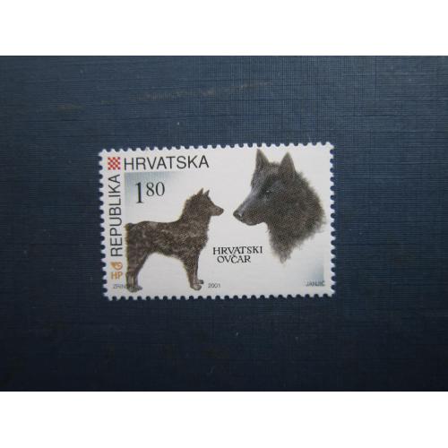Марка Хорватія 2001 фауна собака хорватський вівчар MNH