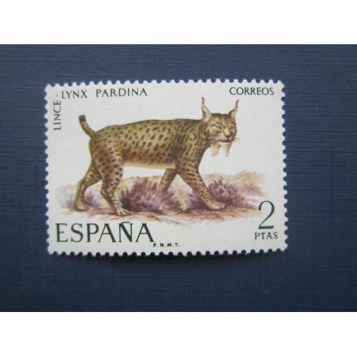 Марка Испания 1971 фауна рысь MNH