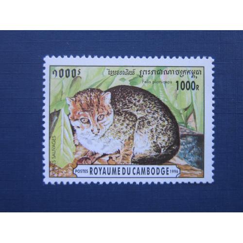 Марка Камбоджа 1996 фауна дикий европейский лесной кот MNH