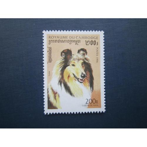 Марка Камбоджа 1996 фауна домашние собаки коли шотландская овчарка MNH