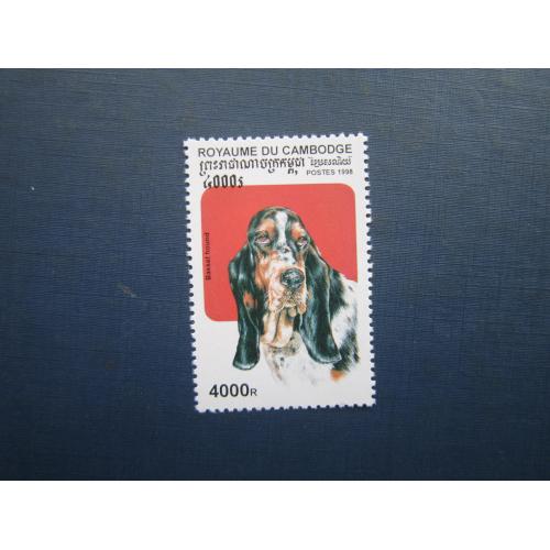 Марка Камбоджа 1998 фауна собака бассет-хаунд MNH КЦ 2.5 $