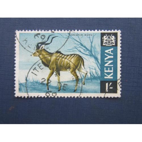 Марка Кения 1966 фауна антилопа гаш