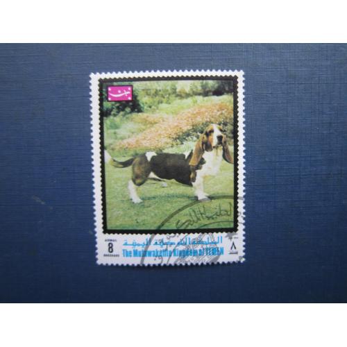 Марка Королівство Ємен фауна собака бассет-хаунд гаш