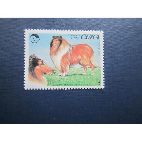Марка Куба 1994 фауна домашние собаки коли шотландская овчарка MNH