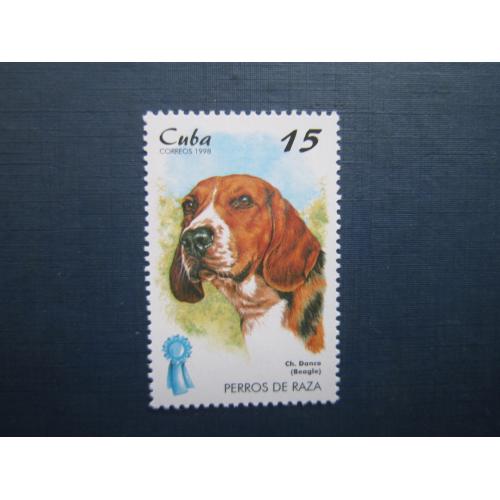 Марка Куба 1998 фауна собака бігль MNH