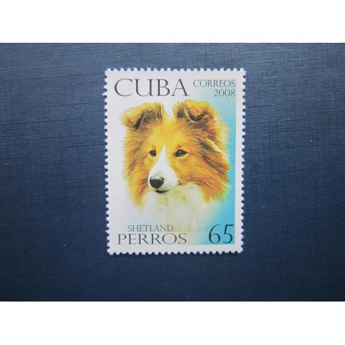 Марка Куба 2008 фауна домашние собаки колли шотландская овчарка MNH