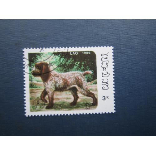 Марка Лаос 1986 фауна собака грифон гаш