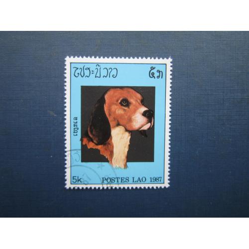 Марка Лаос 1987 фауна собака мисливський гаш