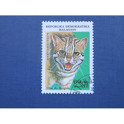 Марка Мадагаскар 1986 фауна дикая бенгальская кошка гаш