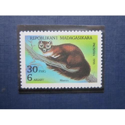 Марка Мадагаскар 1994 фауна куница MNH