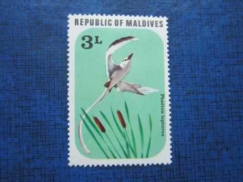 Марка Мальдивы 1977 фауна птица MNH