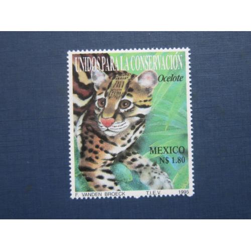 Марка Мексика 1995 фауна дикая кошка оцелот MNH