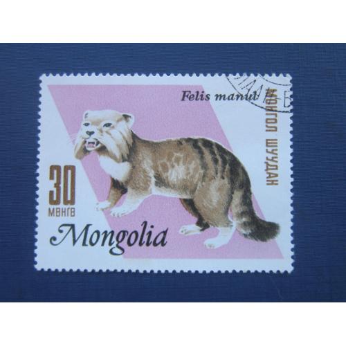 Марка Монголия 1966 фауна дикий кот манул гаш
