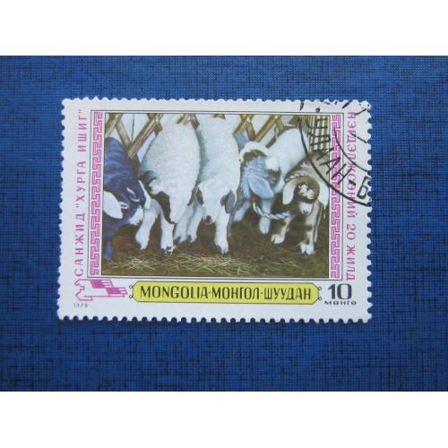 Марка Монголия 1979 фауна овца баран гаш