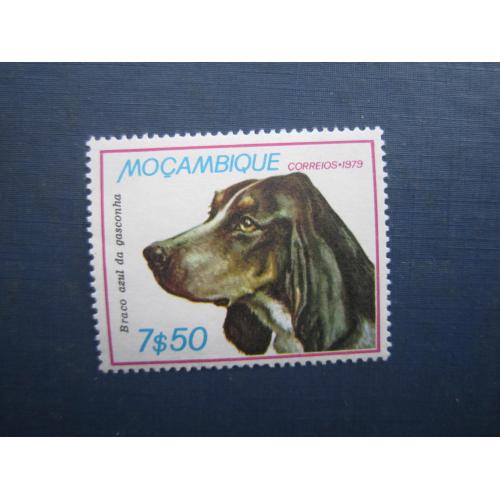 Марка Мозамбік 1979 фауна собака великий блакитний гасконський гончак MNH