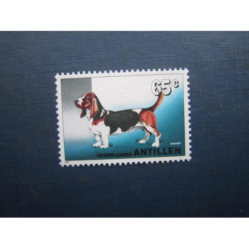 Марка Нідерландські Антильські Острови 1994 фауна собака бассет-хаунд MNH