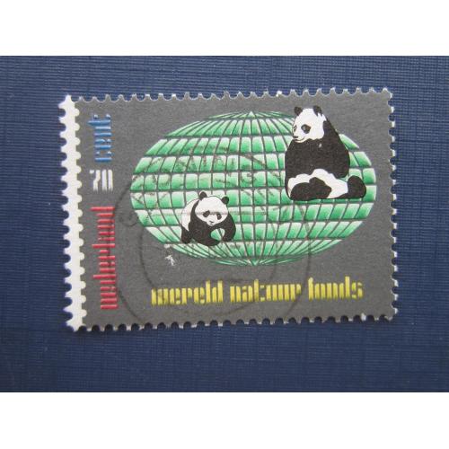 Марка Нидерланды 1977 фауна панда гаш