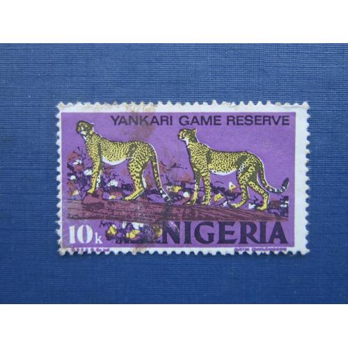 Марка Нигерия 1973 фауна дикие кошки гепард гаш