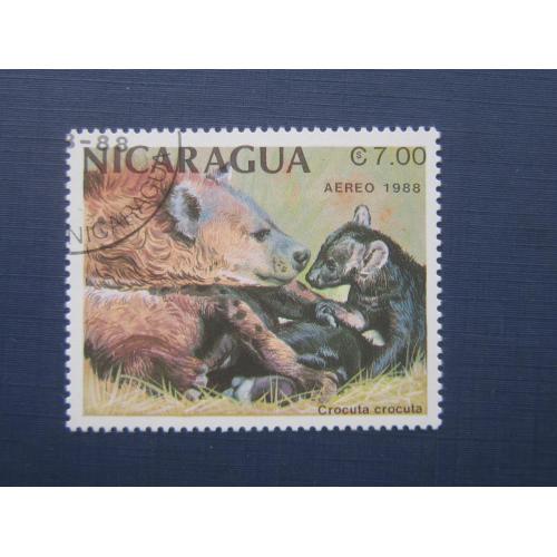 Марка Никарагуа 1988 фауна гиена гаш