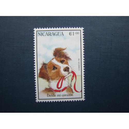 Марка Никарагуа 1996 фауна домашние собаки -от моего сердца- MNH