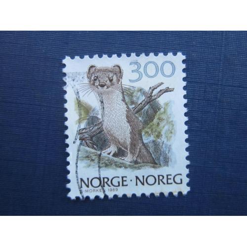 Марка Норвегия 1989 фауна горностай гаш