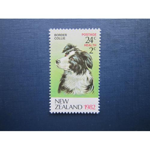Марка Новая Зеландия 1982 фауна домашние собаки бордер-колли MNH
